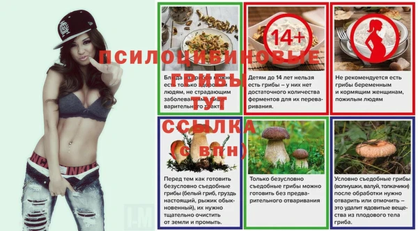 PSILOCYBIN Семикаракорск