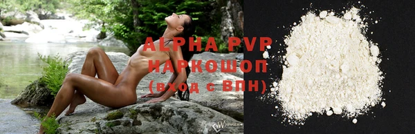 a pvp Алзамай